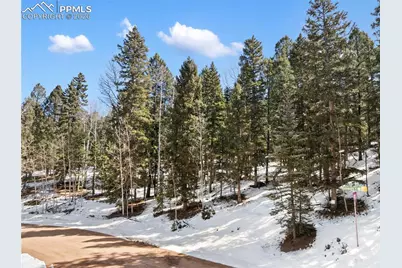 358 Pawutsy Road, Florissant, CO 80816 - Photo 18