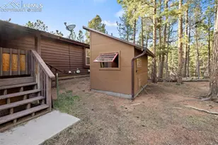 46 Kingston Cir, Florissant, CO 80816 - Photo 46