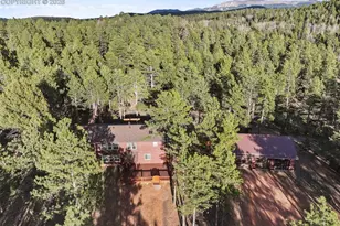 46 Kingston Cir, Florissant, CO 80816 - Photo 48