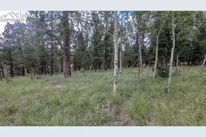 924 Will Scarlet Drive, Divide, CO 80814 - Photo 4