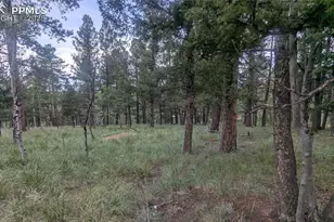 924 Will Scarlet Dr, Divide, CO 80814 - Photo 1