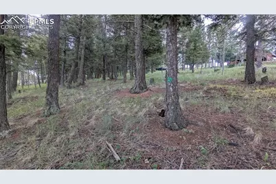 924 Will Scarlet Drive, Divide, CO 80814 - Photo 2