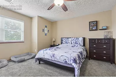 5914 Santana Drive, Colorado Springs, CO 80923 - Photo 10