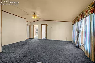 100 Wolverine Dr, Florissant, CO 80816 - Photo 6