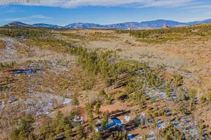 100 Wolverine Dr, Florissant, CO 80816 - Photo 24