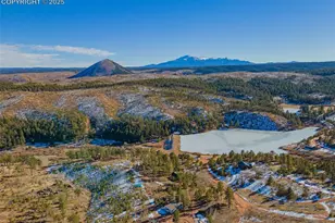 100 Wolverine Dr, Florissant, CO 80816 - Photo 26