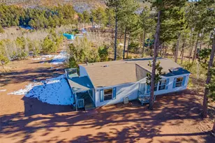 100 Wolverine Dr, Florissant, CO 80816 - Photo 20