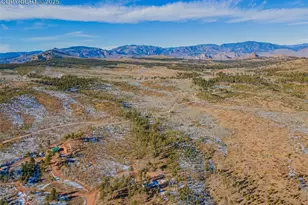 100 Wolverine Dr, Florissant, CO 80816 - Photo 28