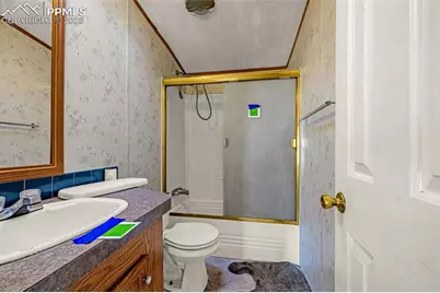 100 Wolverine Drive, Florissant, CO 80816 - Photo 16