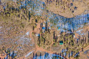 100 Wolverine Dr, Florissant, CO 80816 - Photo 30