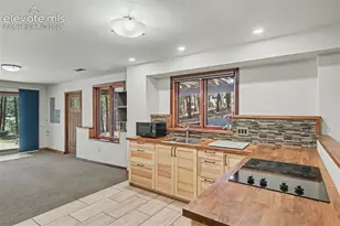 230 Blue Garter Way, Monument, CO 80132 - Photo 40