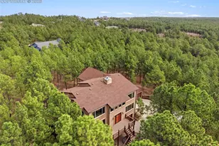 230 Blue Garter Way, Monument, CO 80132 - Photo 50