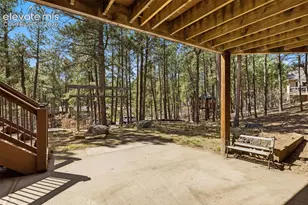 230 Blue Garter Way, Monument, CO 80132 - Photo 44