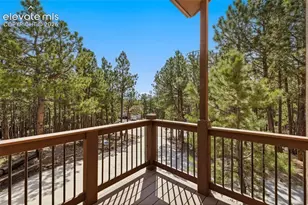 230 Blue Garter Way, Monument, CO 80132 - Photo 8