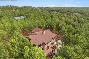 230 Blue Garter Way, Monument, CO 80132 - Photo 50