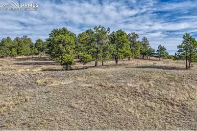 17265 Warriors Path Drive, Peyton, CO 80831 - Photo 8