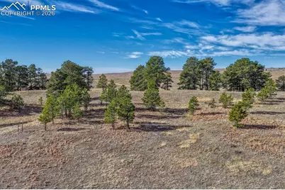 17265 Warriors Path Drive, Peyton, CO 80831 - Photo 4