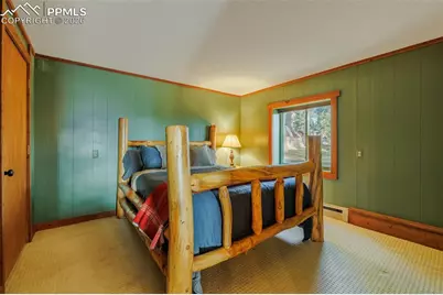 752 Cottonwood Lake Drive, Divide, CO 80814 - Photo 28