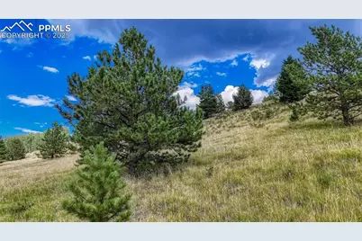 972 Anges Drive, Cripple Creek, CO 80813 - Photo 26