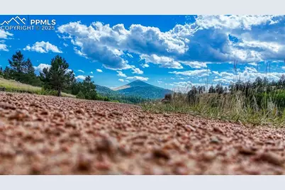 972 Anges Drive, Cripple Creek, CO 80813 - Photo 20