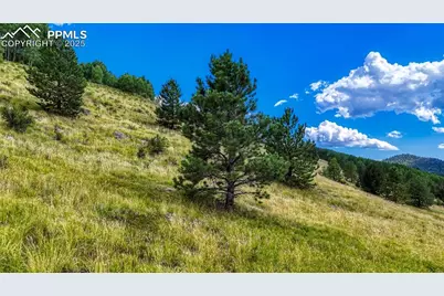 972 Anges Drive, Cripple Creek, CO 80813 - Photo 24