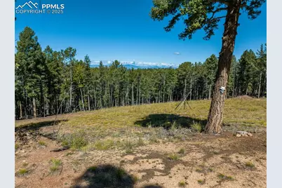 197 Parkview Drive, Woodland Park, CO 80863 - Photo 10