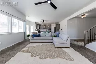 4624 Halite Way, Colorado Springs, CO 80938 - Photo 14