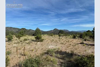 Chris Crossover Drive, Canon City, CO 81212 - Photo 4
