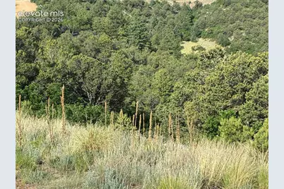 Chris Crossover Drive, Canon City, CO 81212 - Photo 14