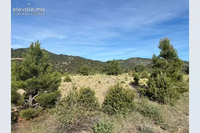 Chris Crossover Drive, Canon City, CO 81212 - Photo 8