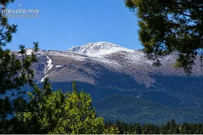 494 Lost Lake Drive, Divide, CO 80814 - Photo 4