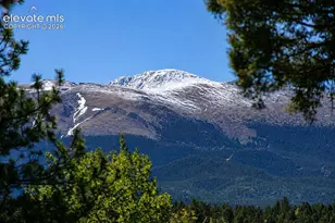 494 Lost Lake Dr, Divide, CO 80814 - Photo 4