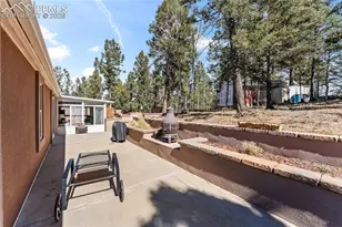 146 Kokwapy Ct, Florissant, CO 80816 - Photo 36