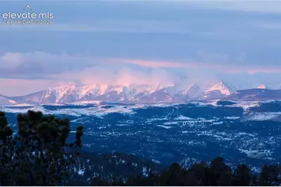 131 Paradiso Road, Divide, CO 80814 - Photo 48