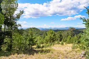 131 Paradiso Rd, Divide, CO 80814 - Photo 44