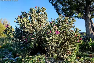 7480 Red Creek Springs Rd, Pueblo, CO 81005 - Photo 46