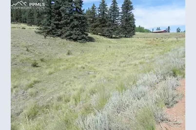 53 Nickel Plate Road, Cripple Creek, CO 80813 - Photo 8