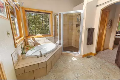 610 Cochetopa Road, Florissant, CO 80816 - Photo 18