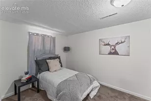 5397 Saddle Horn Ave, Colorado Springs, CO 80915 - Photo 22
