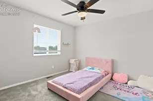 4905 Balsam St, Colorado Springs, CO 80923 - Photo 22