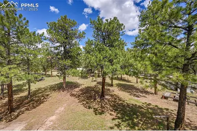 17350 Goshawk Road, Colorado Springs, CO 80908 - Photo 48