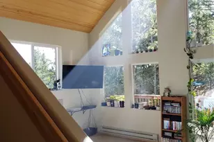 509 Wakanda Trail, Woodland Park, CO 80863 - Photo 32