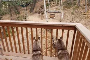 509 Wakanda Trail, Woodland Park, CO 80863 - Photo 10