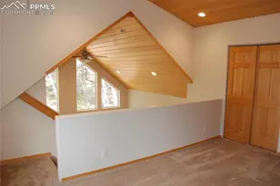 509 Wakanda Trail, Woodland Park, CO 80863 - Photo 22