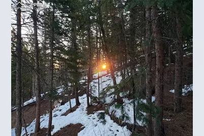 509 Wakanda Trail, Woodland Park, CO 80863 - Photo 28