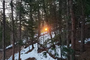 509 Wakanda Trail, Woodland Park, CO 80863 - Photo 28