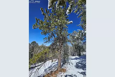 829 Princess Road, Cripple Creek, CO 80813 - Photo 10