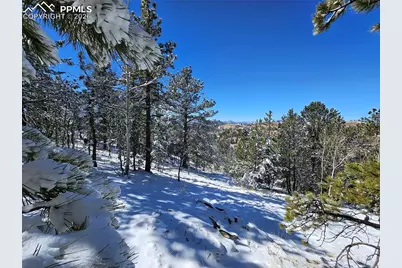 829 Princess Road, Cripple Creek, CO 80813 - Photo 6