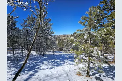 829 Princess Road, Cripple Creek, CO 80813 - Photo 18