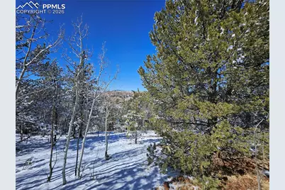 829 Princess Road, Cripple Creek, CO 80813 - Photo 20